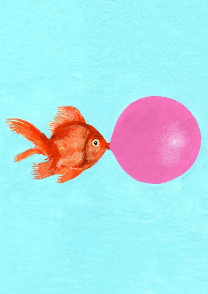 Goldfish With Bubblegum