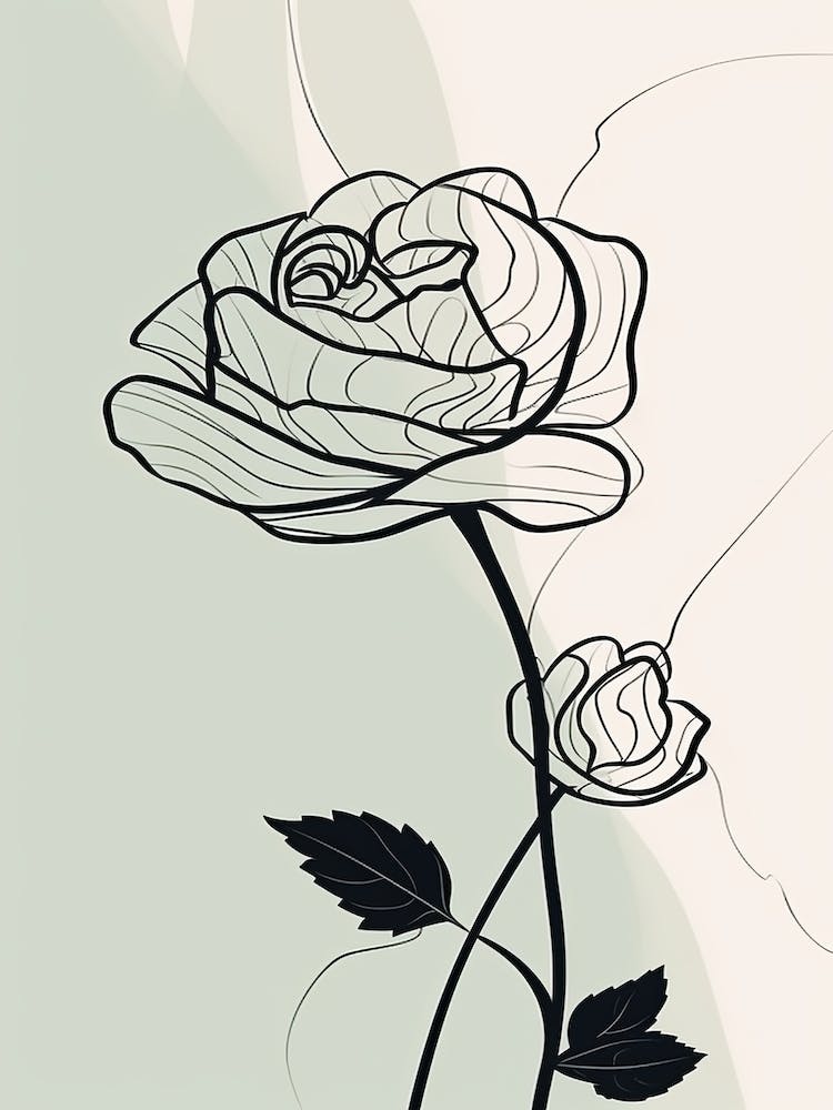 Line Art Roses Flowers Illustration Neutral 4