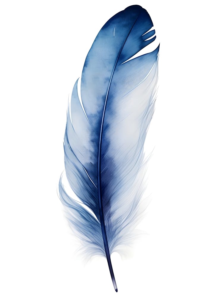 Plume Bleue