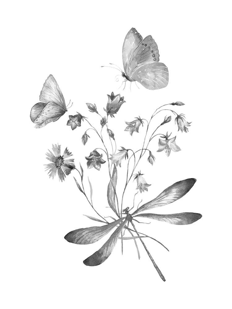 Dragonflies And Flowers