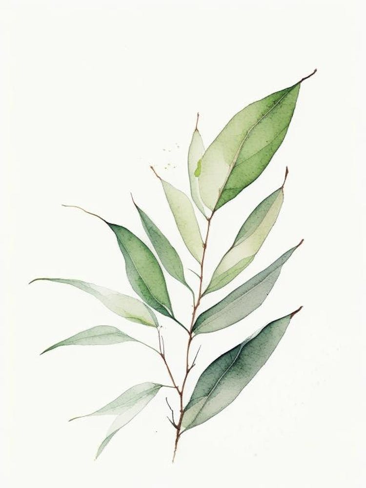 Marsh Tea Leaf Minimalist Watercolour