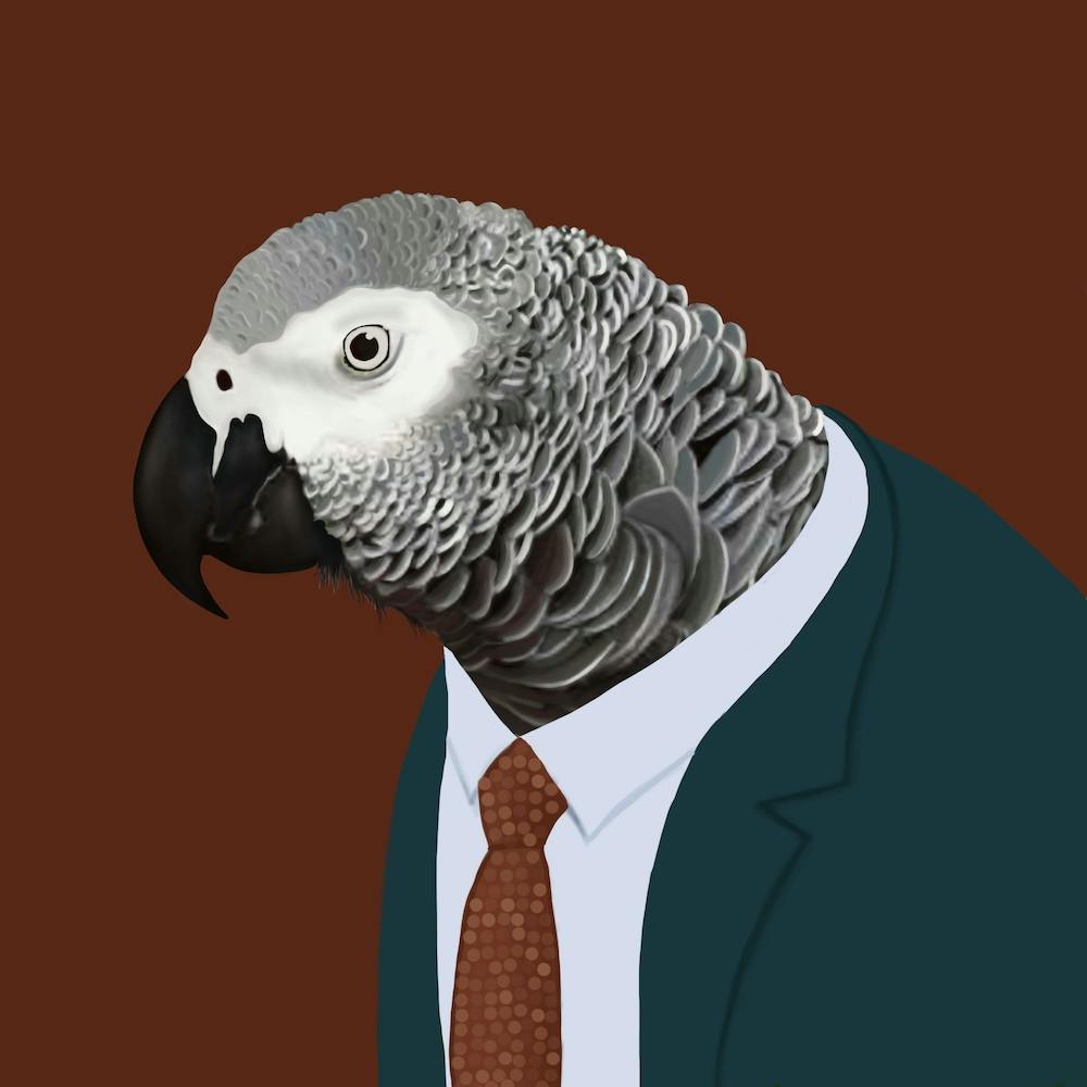 African Grey Parrot In Suit Square
