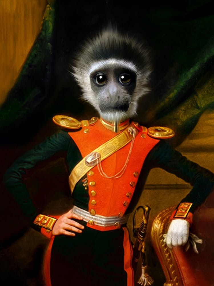 Curious Laurence The Monkey Pet Portraits