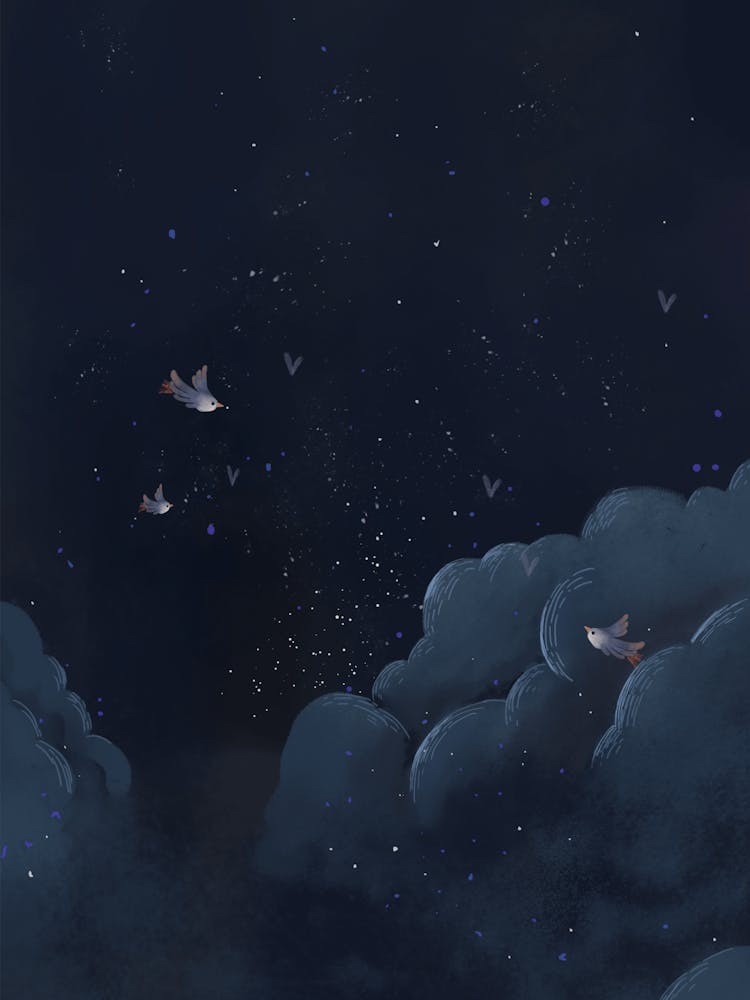 Birds In The Night Sky