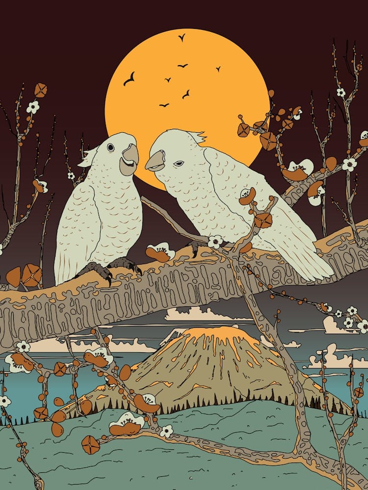 Cockatoo Under Moonlight