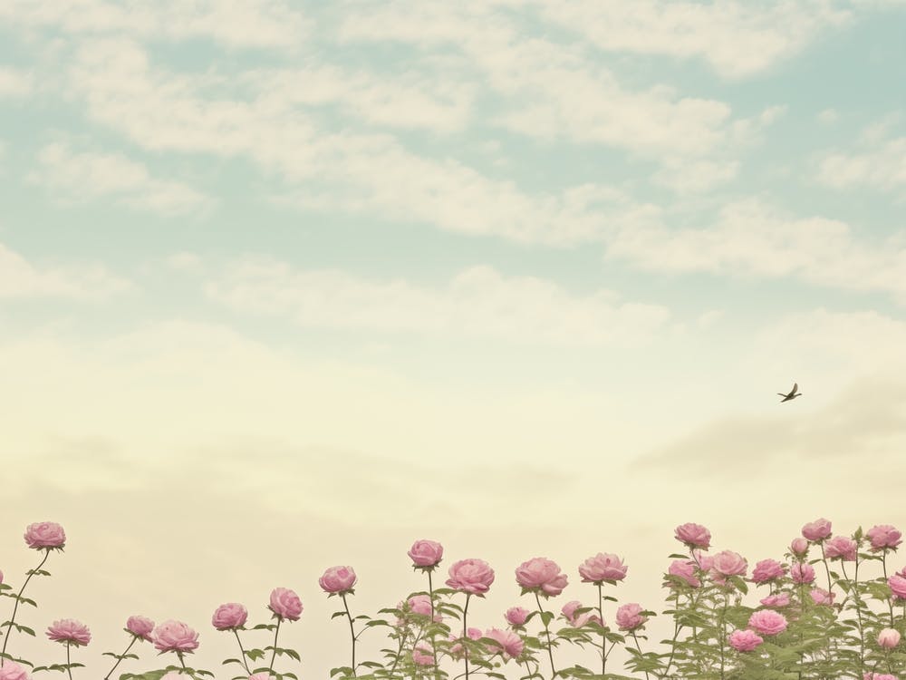 Pink Flowers In A Field