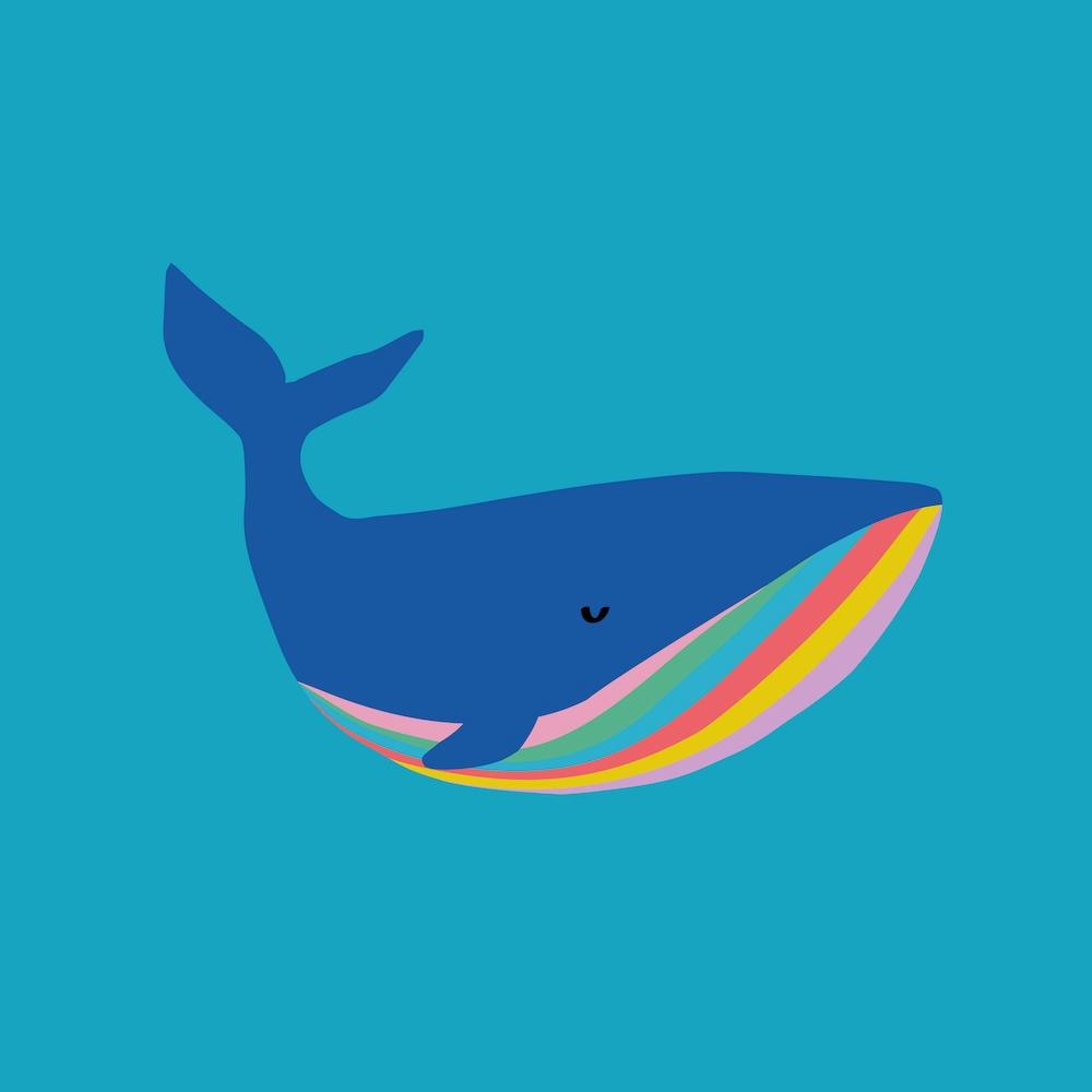 Rainbow Whale