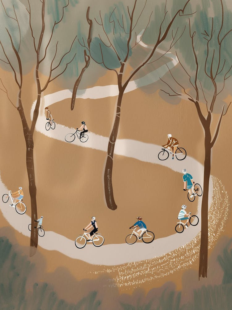 Bicycles In The Woods 4