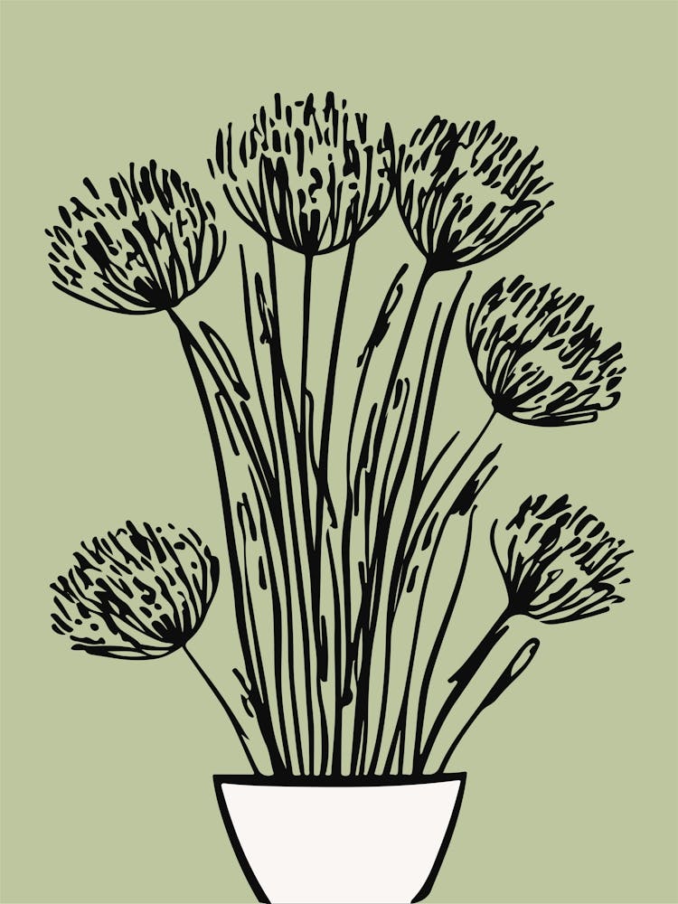 Daffodils 2