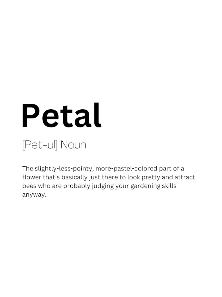 Petal Definition Meaning