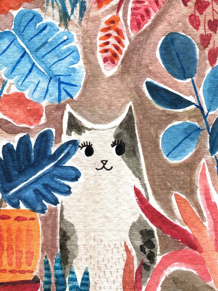 Cat With House Plants