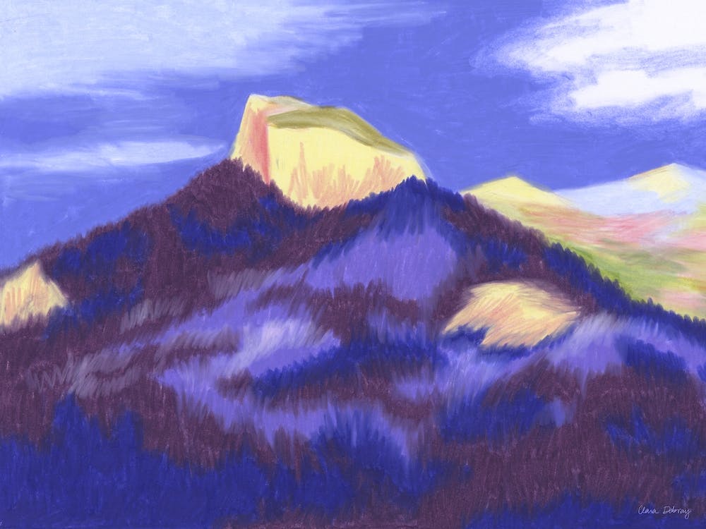 The Pinea