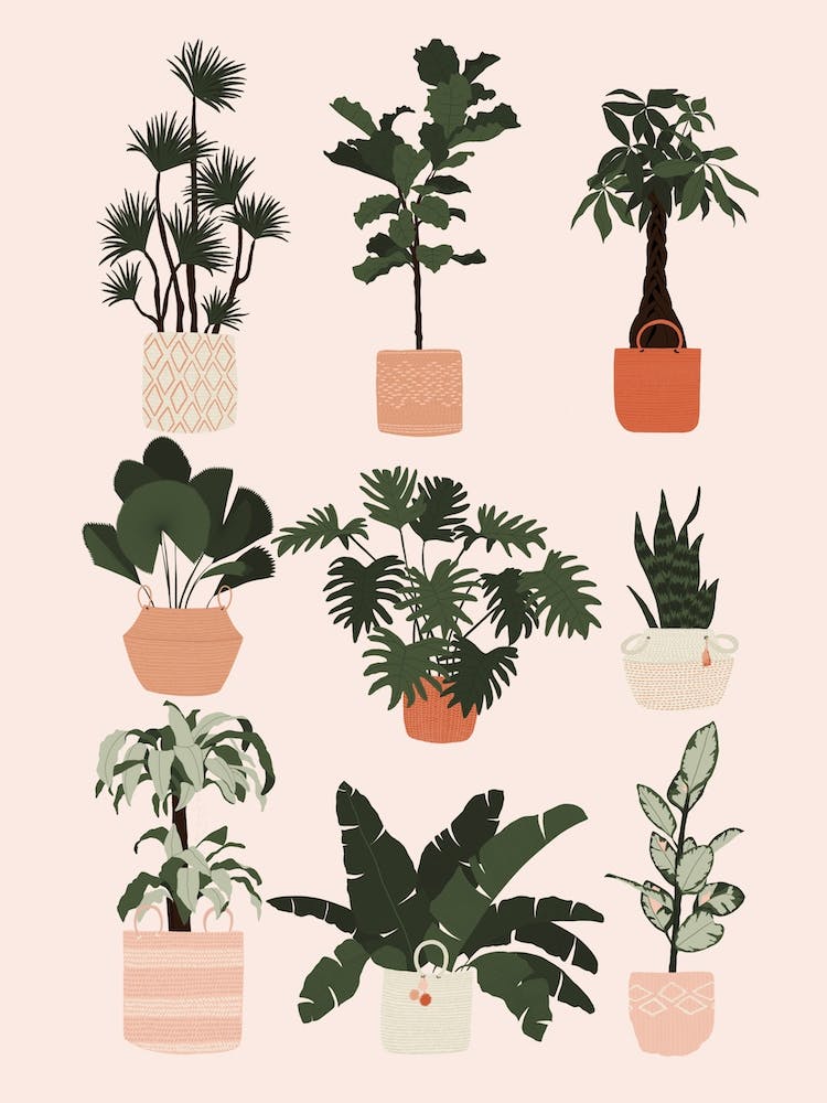Houseplants Print
