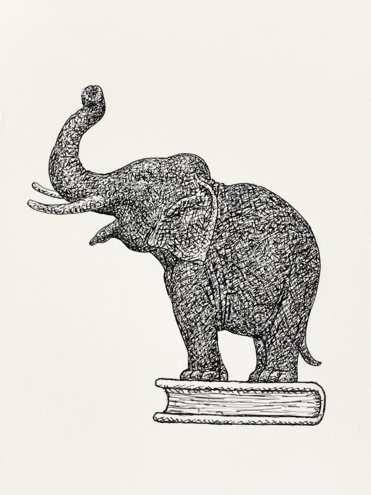 Elephant On A Book