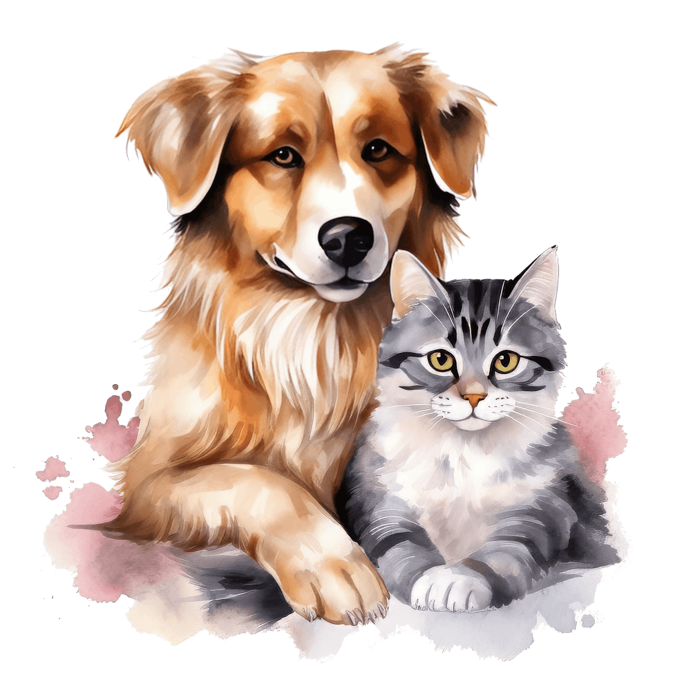 Cat and Dog Friends 7