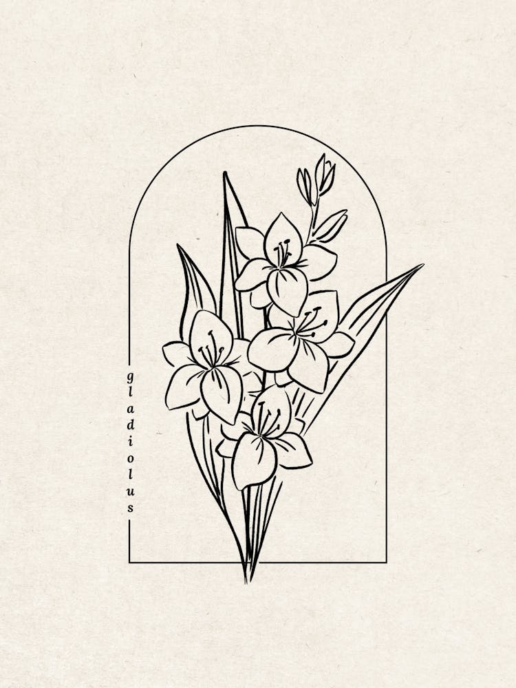 Gladiolus Flower