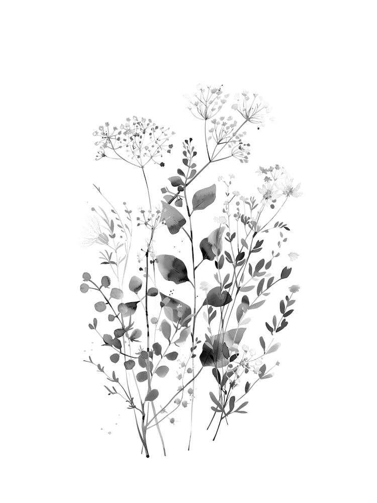 Black And White Botanical Print