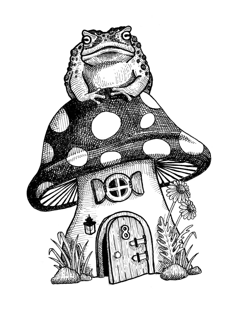 Toadstool Fairy House Sketch