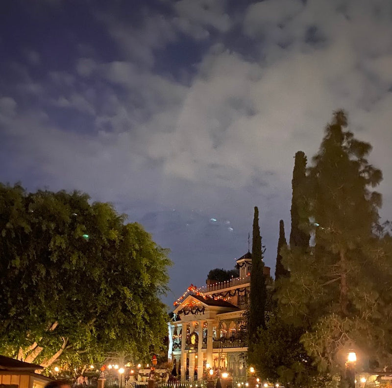Disneyland At Night