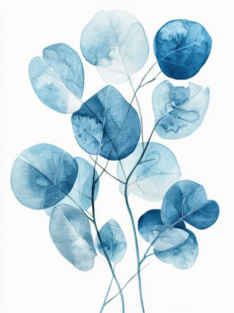 Eucalyptus Leaves 35