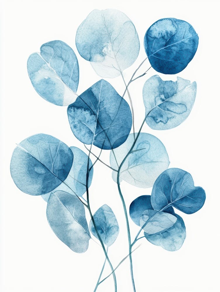 Eucalyptus Leaves 35