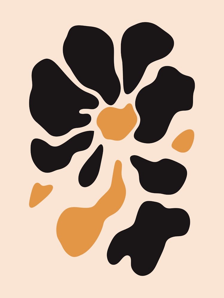 Black And Orange Flower