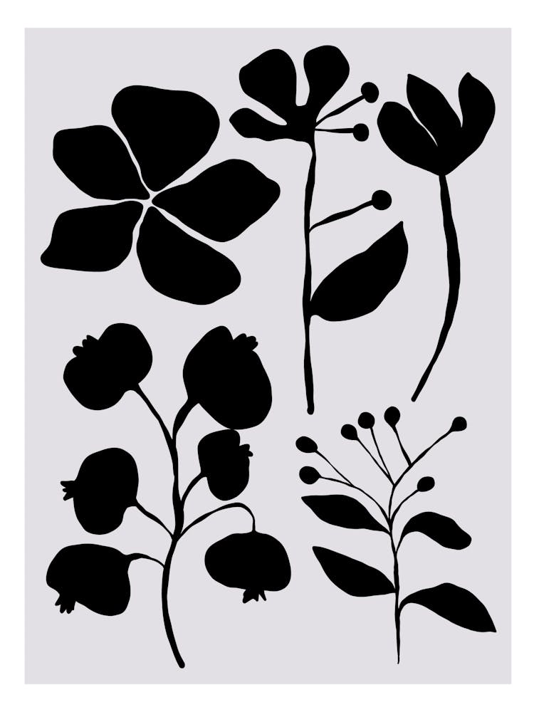 Delicate line no 6