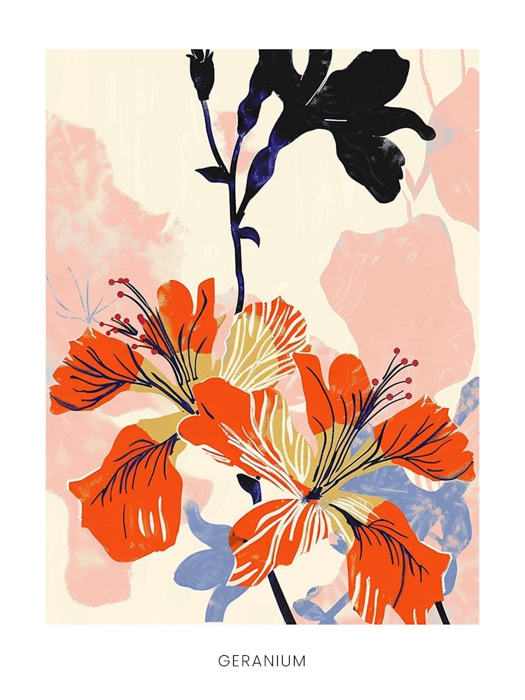 Colourful Flower Illustration Poster Geranium 4