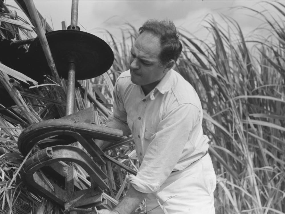 Mr Wurtele, Inventor Of Sugarcane Harvester, Attempting To Repair The Machine, Mix, Louisiana By Russell Lee