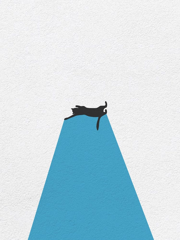 Vintage Minimal Art Cat Behind Light