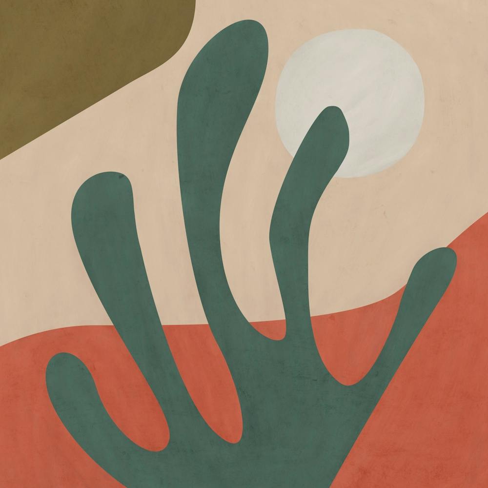 Plant in the Desert 2