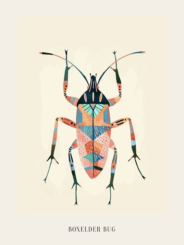 Colourful Insect Illustration Boxelder Bug 7 Poster