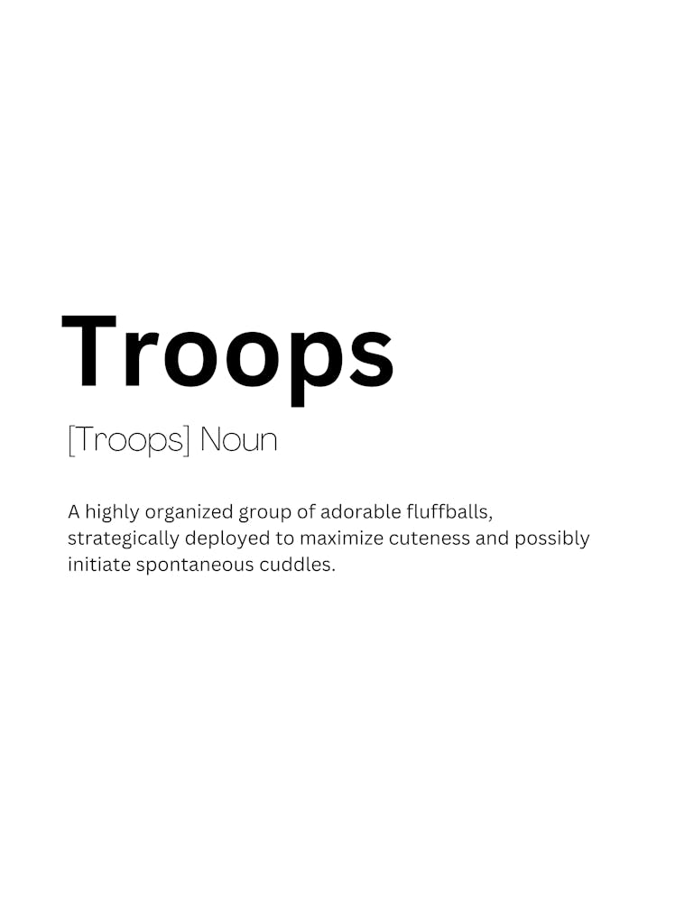 Troops Definition Meaning