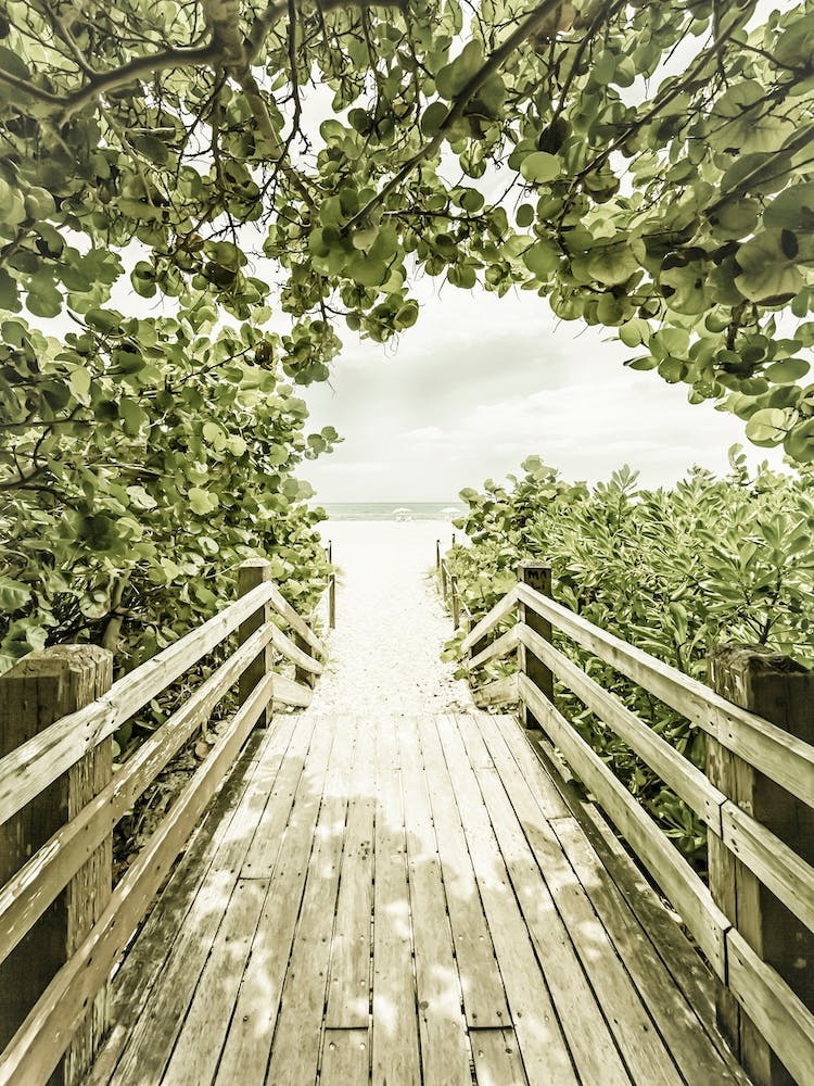 Bridge To Miami Beach