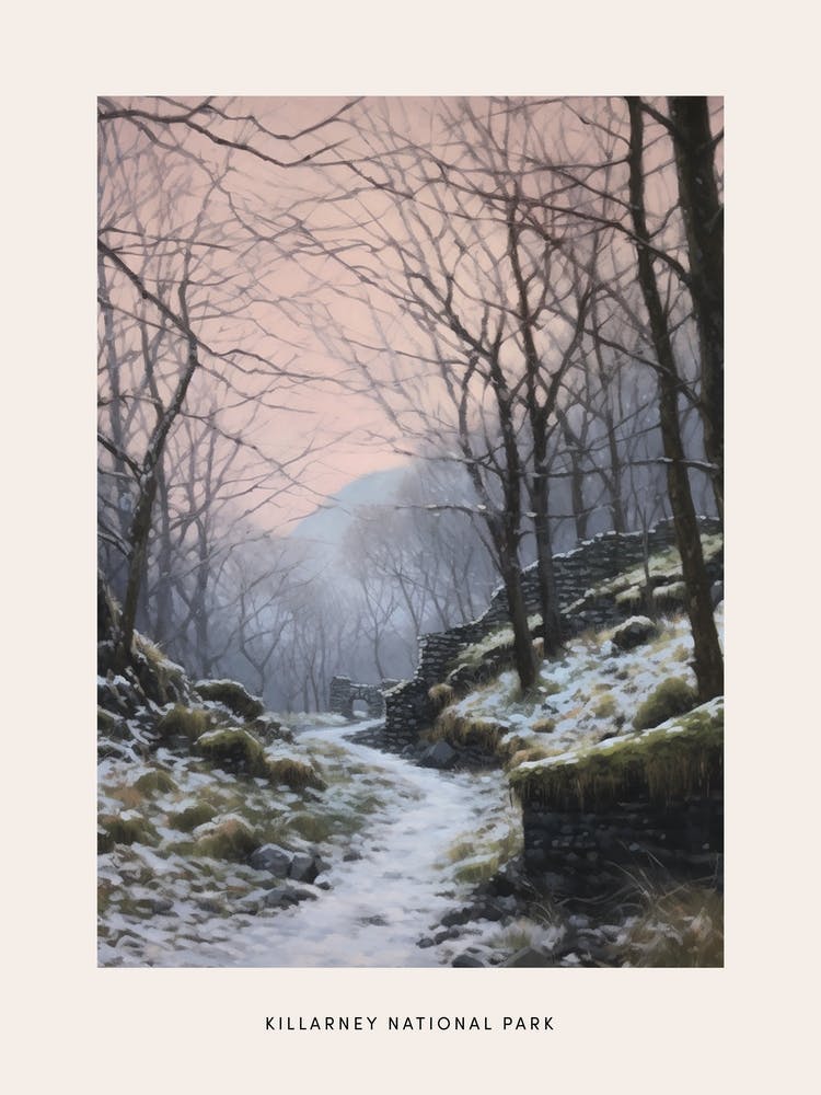 Verträumtes Winter-Nationalpark-Poster Killarney National Park Ireland 1