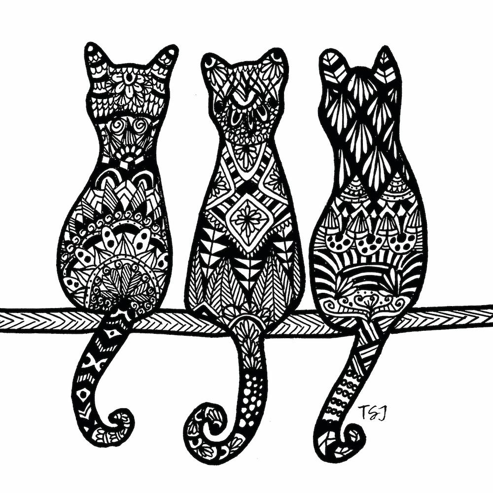 Kitty Trio