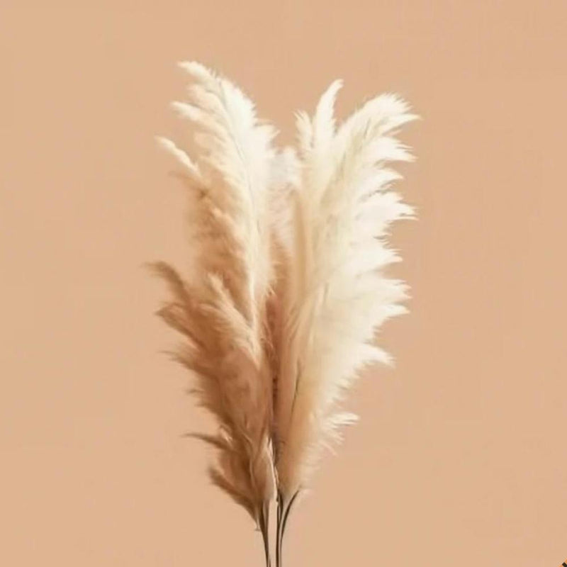 Eagle Feathers