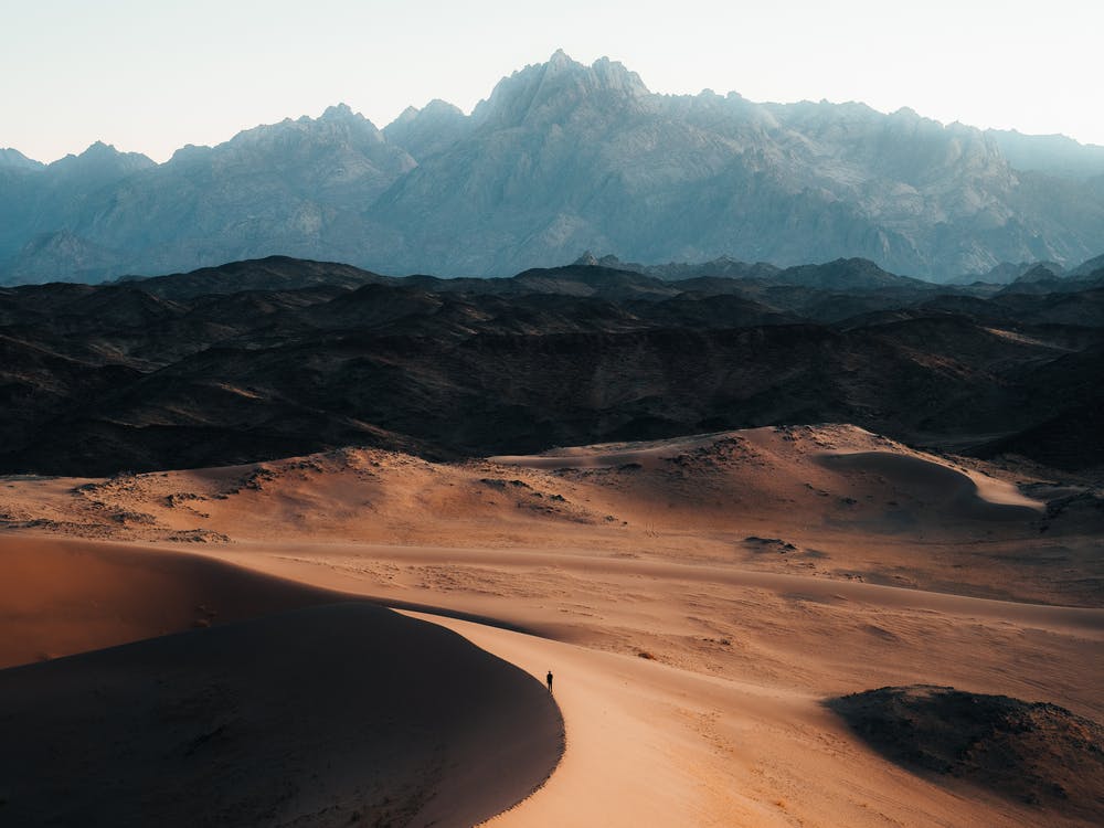 Sand Dunes In The Desert