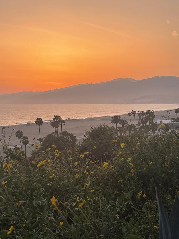 PCH Sunset