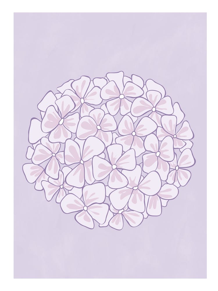Pastel Lilac Hydrangeas