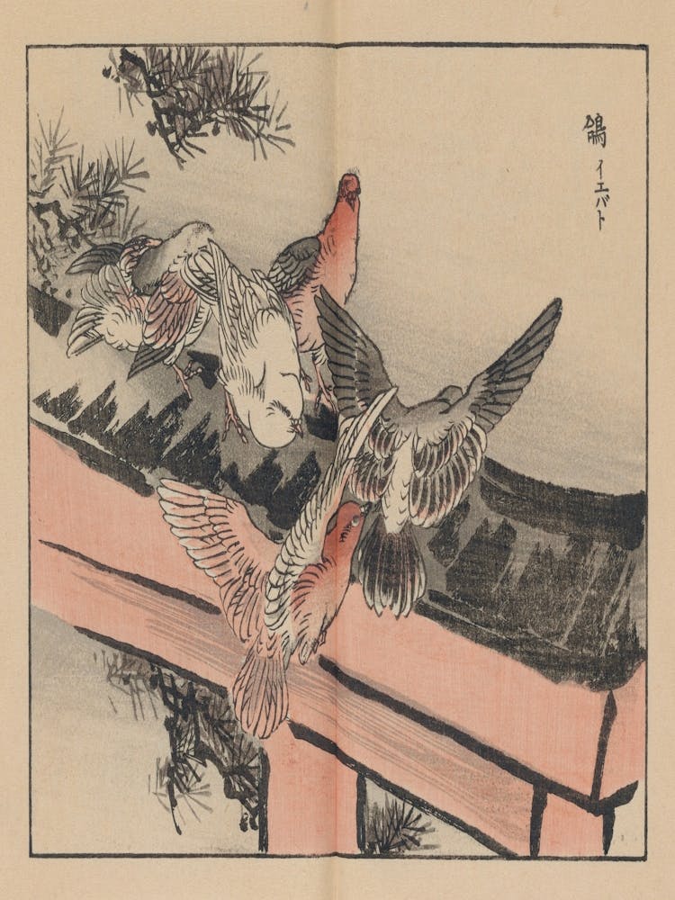 Doves On A Bridge