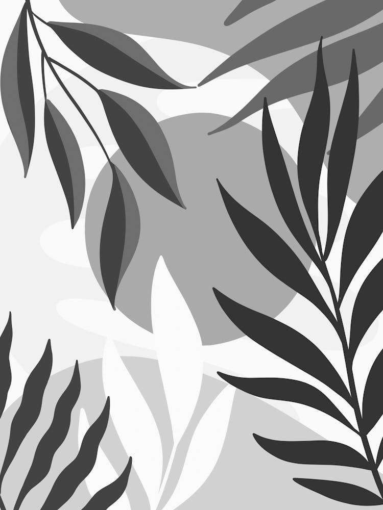 Black And White Leaves 4