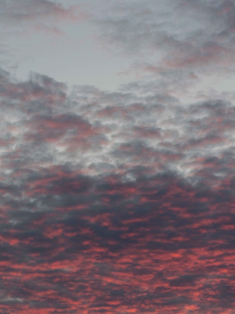 Cotton Candy Sky
