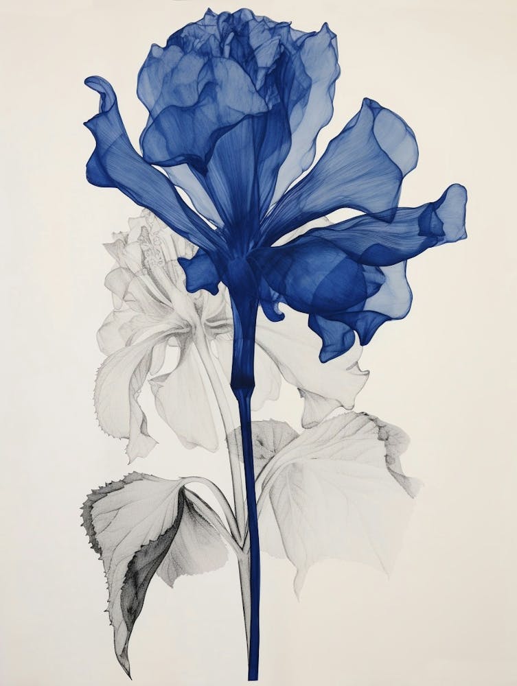 Blue Botanical Amaryllis 1