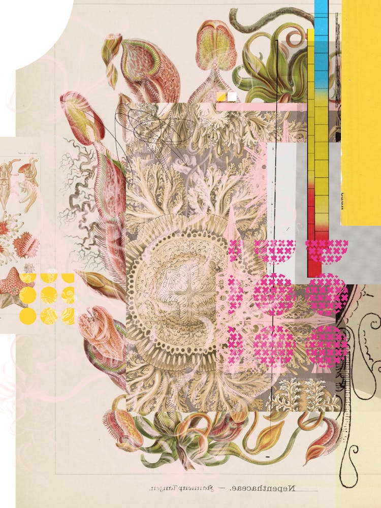 Daydream Aufbluehen Der Illusion