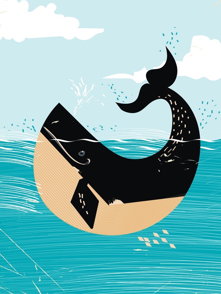 Whale In The Ocean
