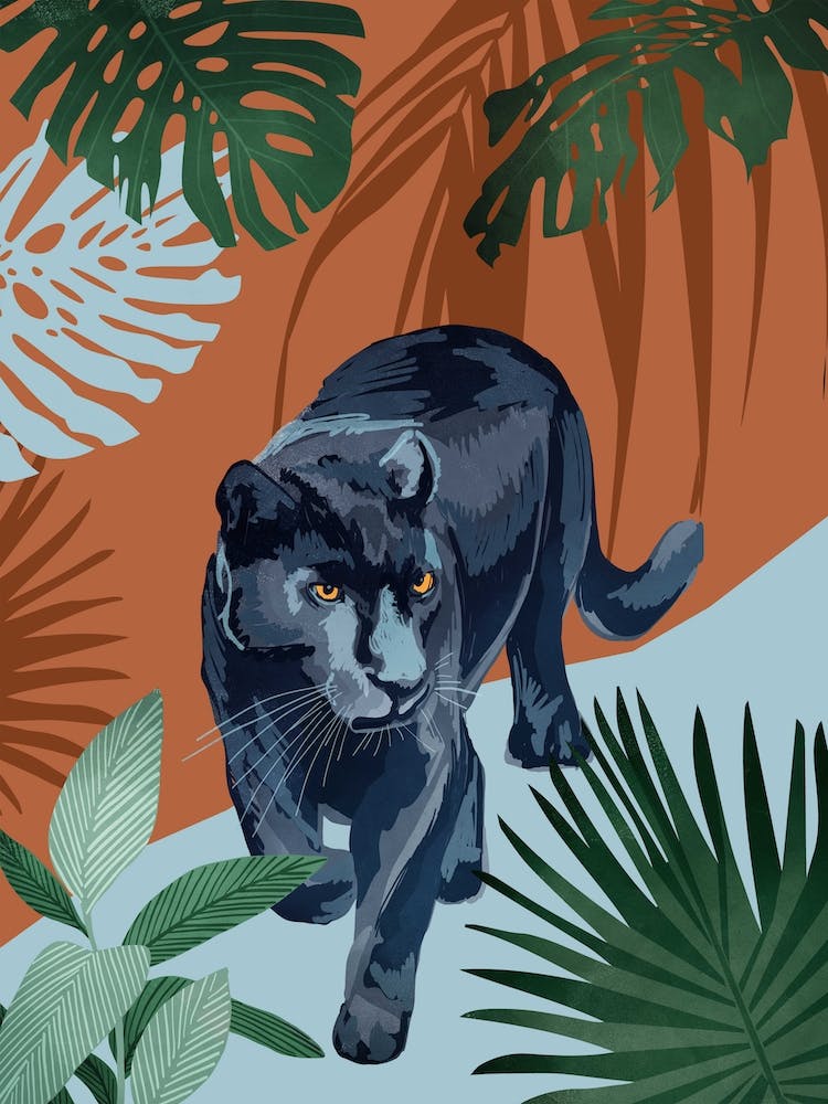 Walk Of The Black Pather