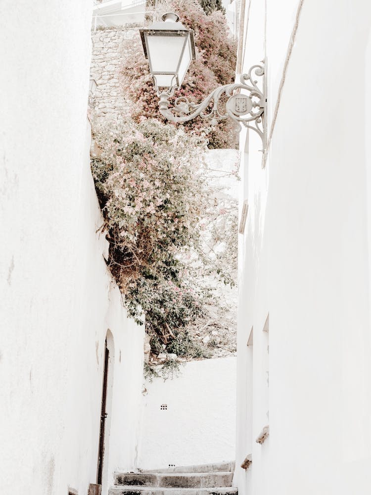 White Wall Home