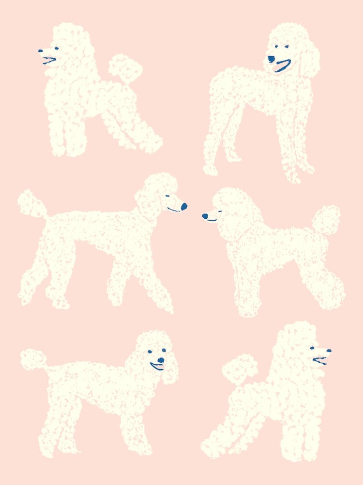 Happy Poodles