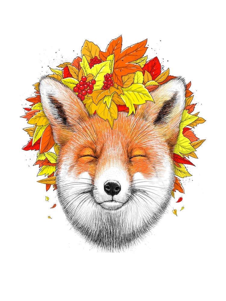 Autumn Fox